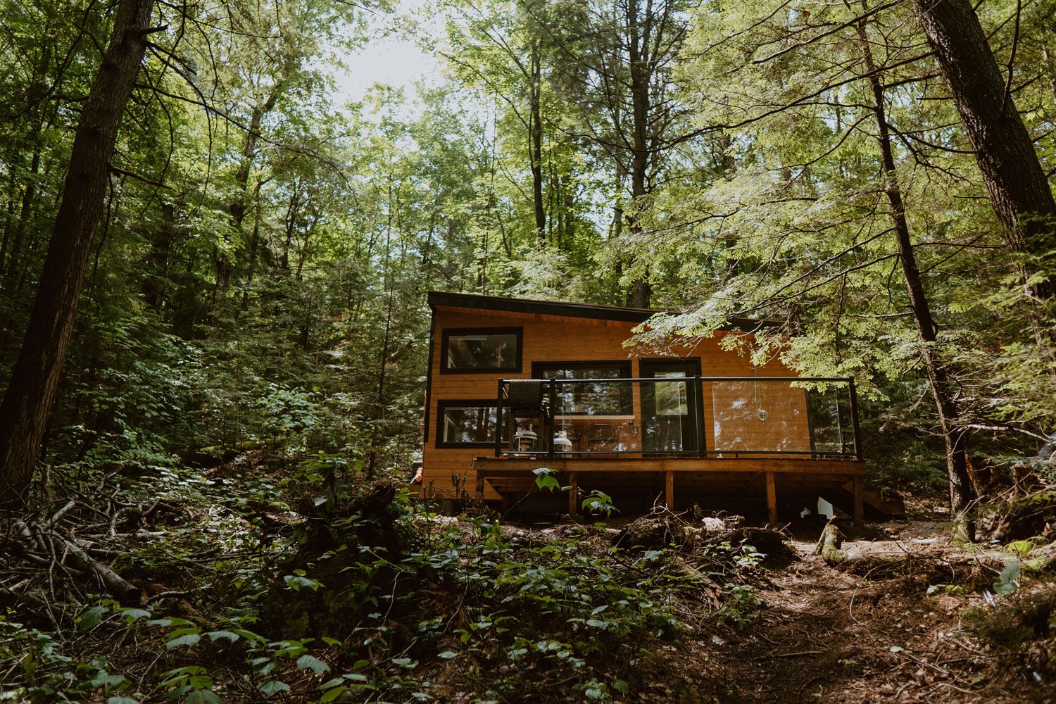 Great design example of a chalet house in the woods