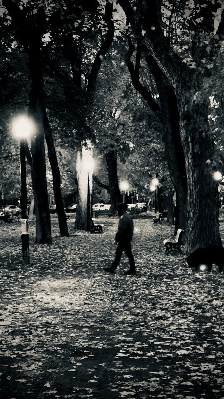 A photo of a man walking in a park at night.