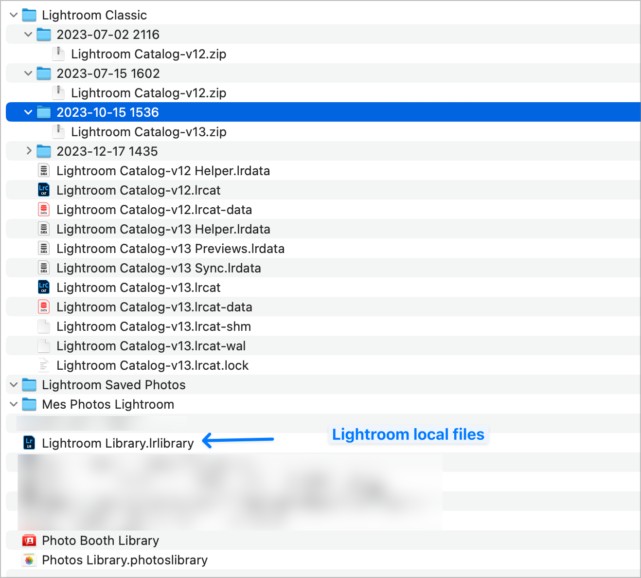A typical /Pictures folder with both Lightroom Classic + Lightroom apps