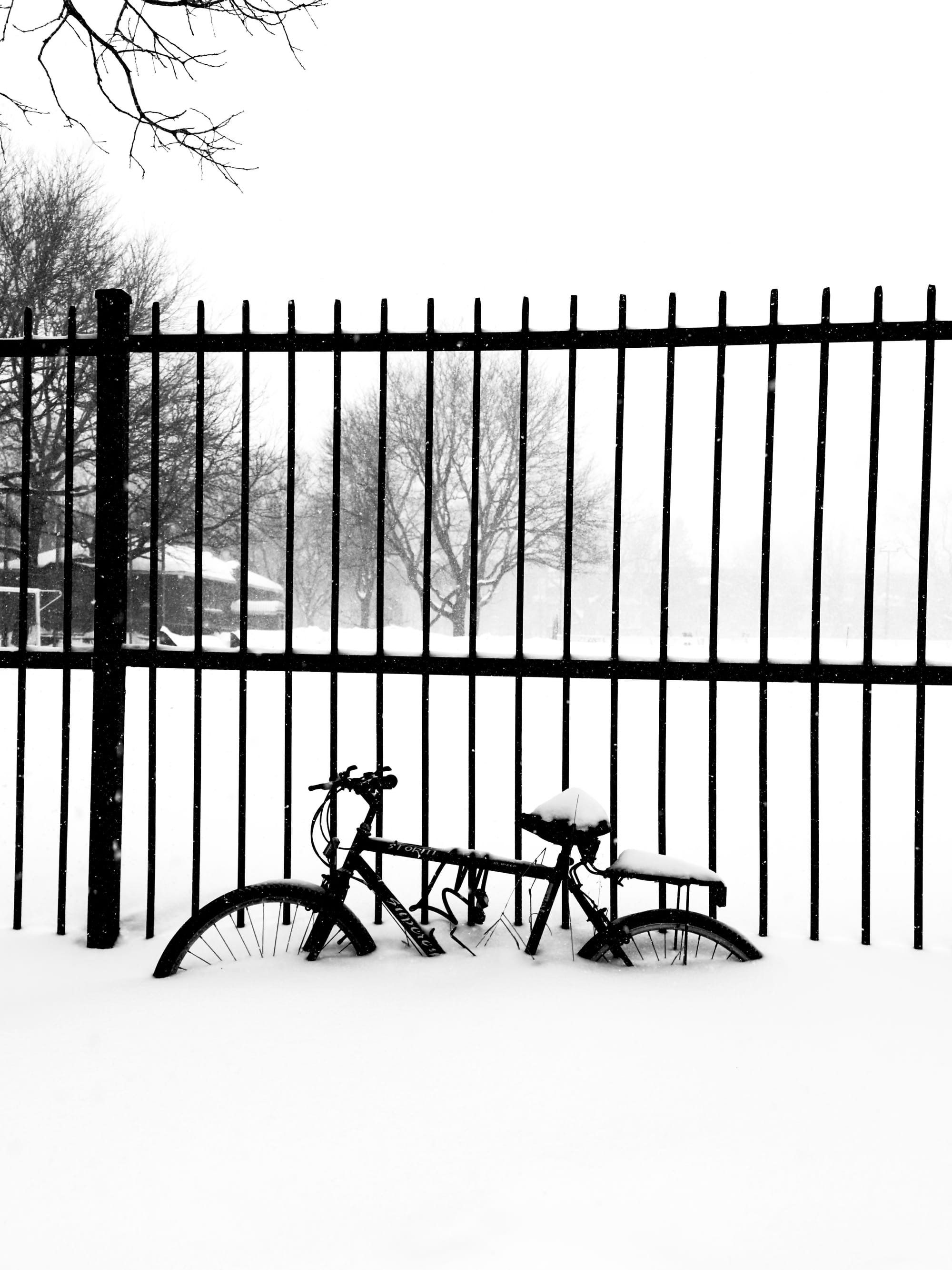 A walk in the snowstorm. 