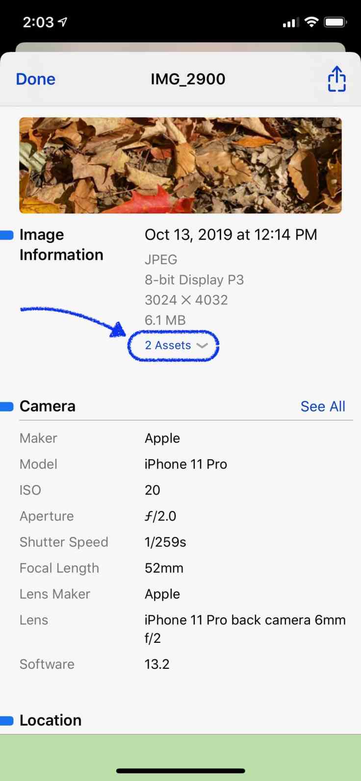 RAW images are actually made of two parts