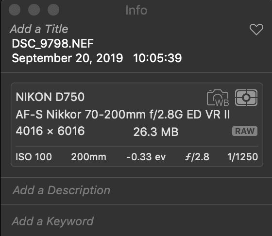 Nikon D750 photo is RAW format