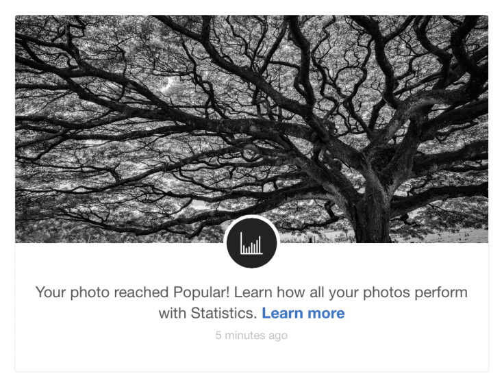 After a while, the same photo got promoted to the Popular dynamic gallery