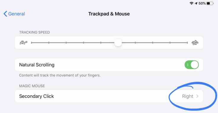 Enabling the right-click on the Magic Mouse